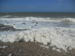Foam!