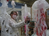 Transforming science into art - jellyfish, author: Mahieu, Annique