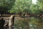 Album by Frank Dehairs