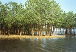 Album by Frank Dehairs