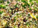 Microlipophrys adriaticus, author: Pillon, Roberto