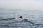 Test cruise RV Mtafiti