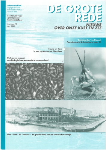 De Grote Rede 13 cover