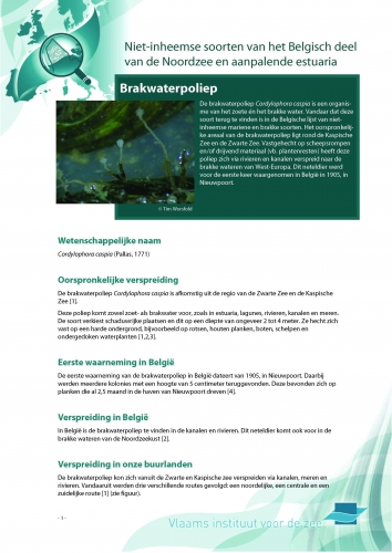 Cover Cover