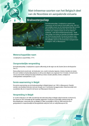 Cover Cover