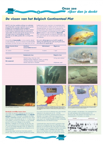 Cover Cover
