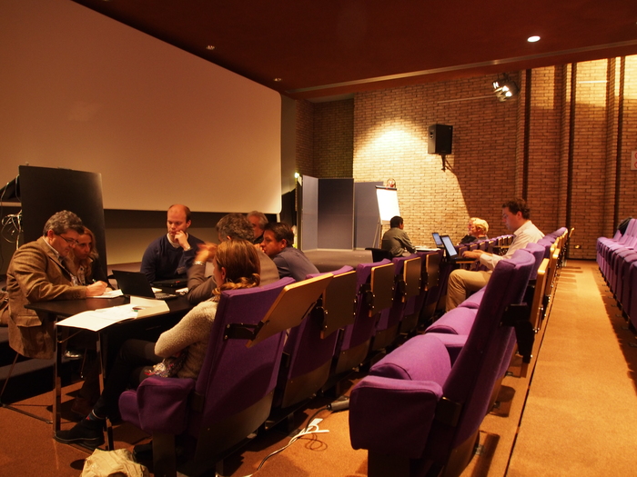 Working groups on the guidelines