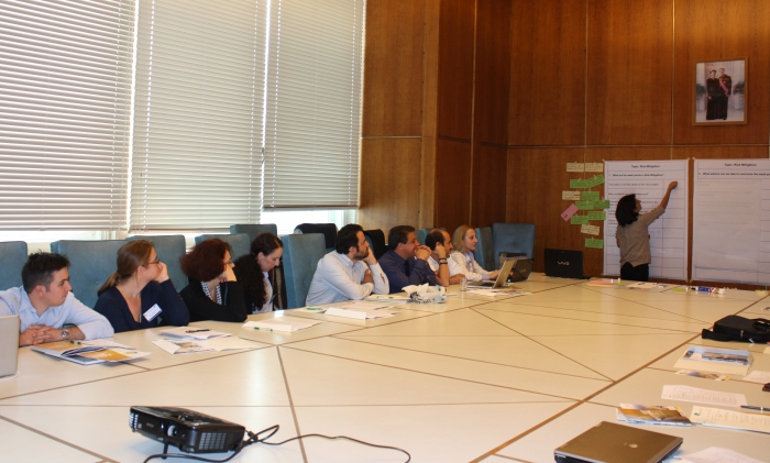 Working group session on risk mitigation