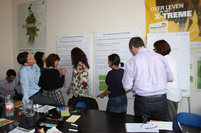 Voting phase in the working group session on risk assessment 