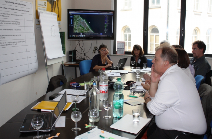 Working group session on the THESEUS Decision making tool (DSS)