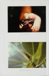Album by Farid Dahdouh-Guebas