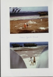 Album by Farid Dahdouh-Guebas