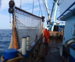 Het vissersschip 2510 Dennis vist met sleepnetten, ook boomkornetten genoemd, op dermersale vissen