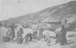 Enkele kleine traditionele vissersvaartuigen op het strand van Mariakerke-Oostende omstreeks 1900