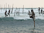 Traditionele visserij in Sri Lanka