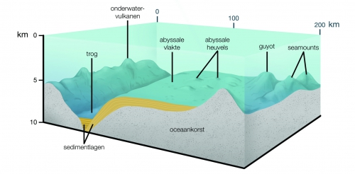 Geomorfologie van de diepe oceaan Geomorfologie van de diepe oceaan
