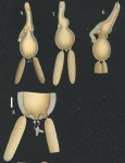 Clavella strumosa from Brian, A 1906