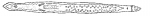 Platyhelminthes