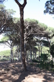 JPG file