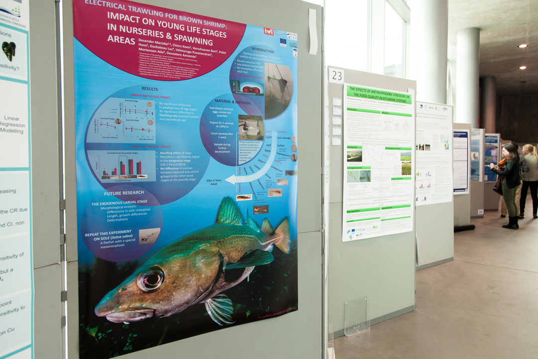 Winning poster 2014 (1st prize)
