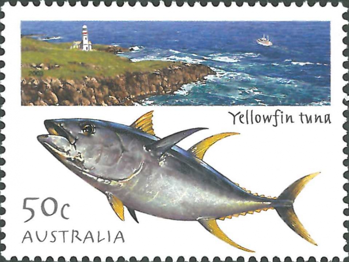 Thunnus albacares