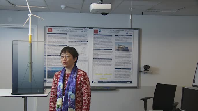 Interviews WP-leaders