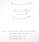 Scan taken from personal notes of H. Nouvel stored at CNRS La Rochelle (France) by Jean Paul Lagardere.