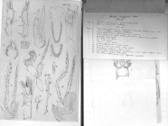 Scan taken from personal notes of H. Nouvel stored at CNRS La Rochelle (France) by Jean Paul Lagardere.