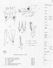 Scan taken from personal notes of H. Nouvel stored at CNRS La Rochelle (France) by Jean Paul Lagardere.