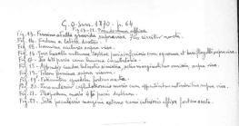 Scan taken from personal notes of H. Nouvel stored at CNRS La Rochelle (France) by Jean Paul Lagardere.