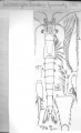author: Nouvel, H.