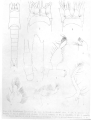 author: Nouvel, H.