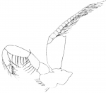 Part: Leg 2