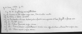 author: Nouvel, H.