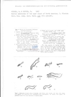 Nematode file-library of the Marine Biology Section (Ghent University, Belgium)