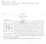 Trileptium