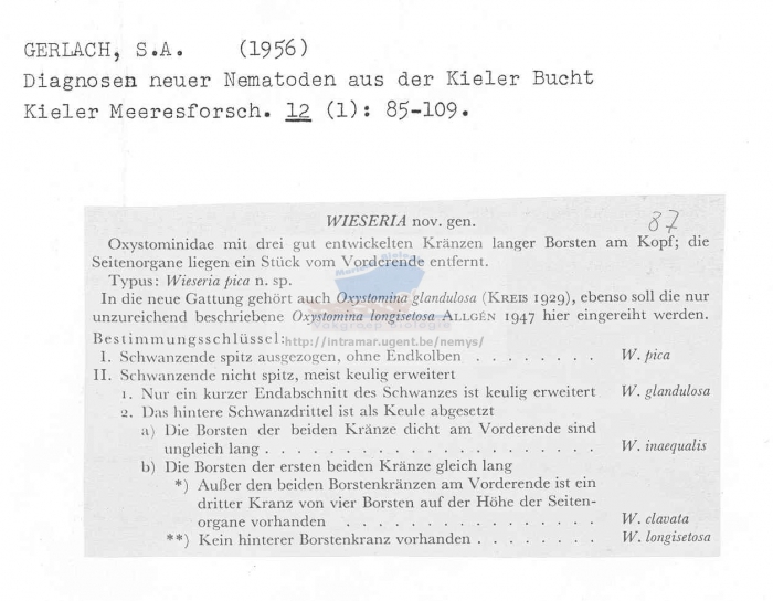 Wieseria
