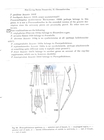 Nematode file-library of the Marine Biology Section (Ghent University, Belgium)