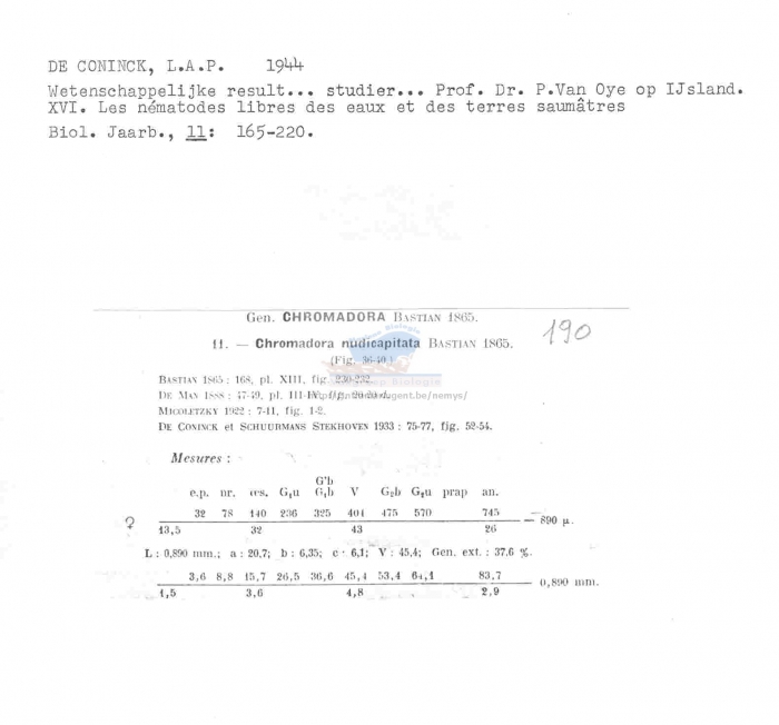 Chromadora nudicapitata