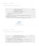 Chromadora nudicapitata