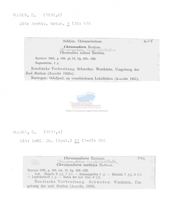 Chromadora nudicapitata