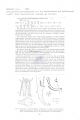 Nematode file-library of the Marine Biology Section (Ghent University, Belgium)