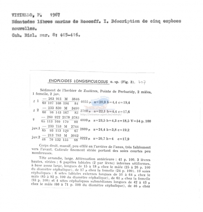 Enoploides longispiculosus
