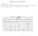 Mesacanthion africanthiforme