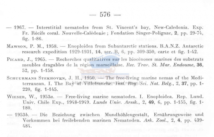 Paramesacanthion catellus