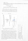 Nematode file-library of the Marine Biology Section (Ghent University, Belgium)