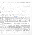 Crenopharynx paralepturus