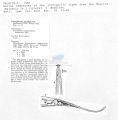 Nematode file-library of the Marine Biology Section (Ghent University, Belgium)