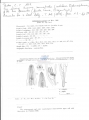 Nematoda (roundworms)