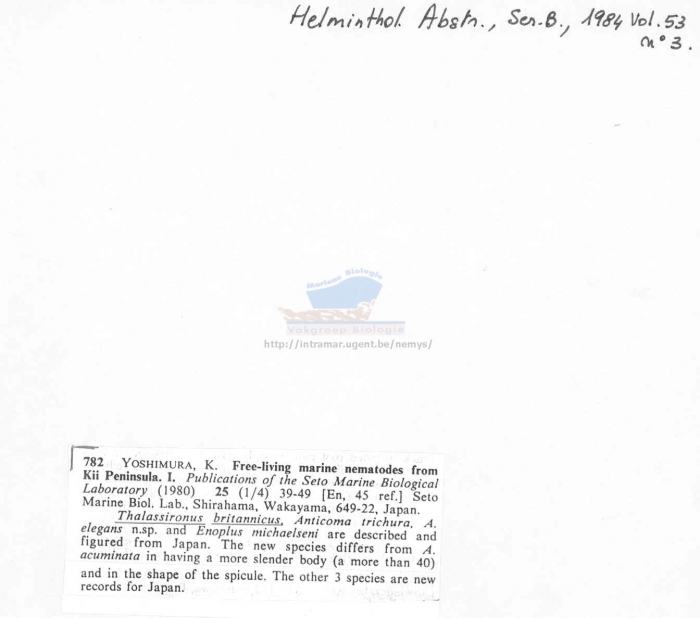 Thalassironus britannicus